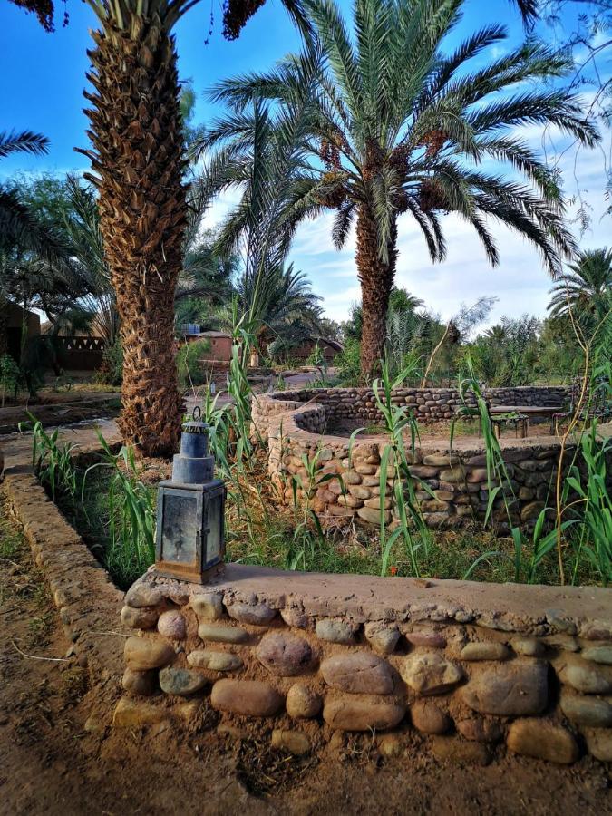 Chez Madani Campsite M'Hamid