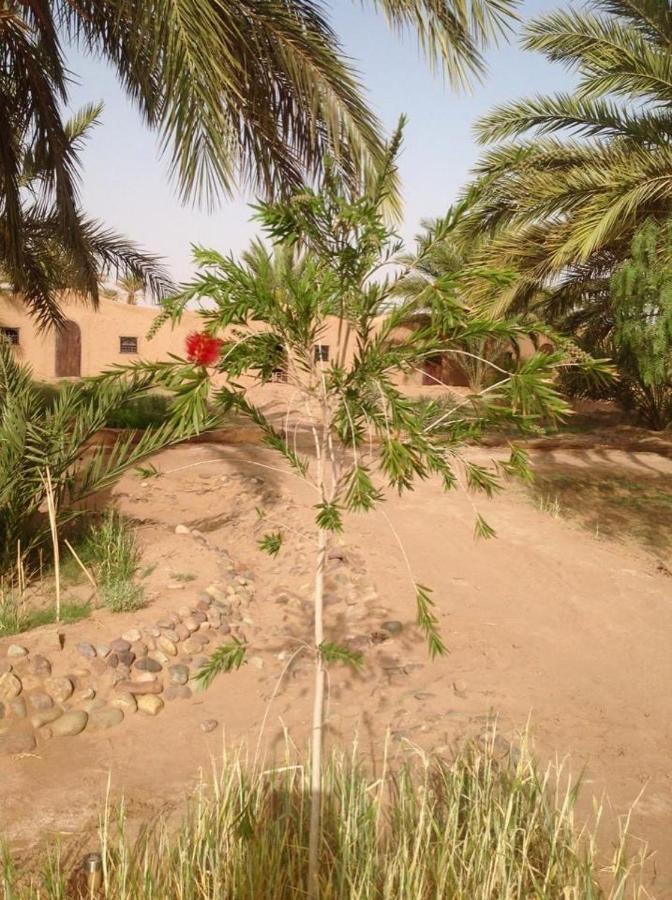 Campsite Chez Madani *