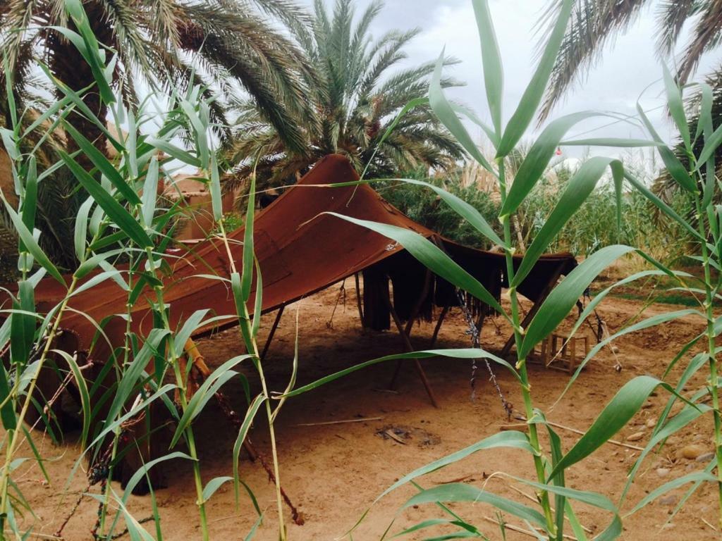 Chez Madani Campsite